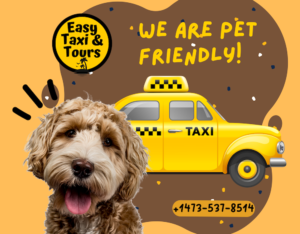 We are Pet Friendly with picture of a taxi and dog