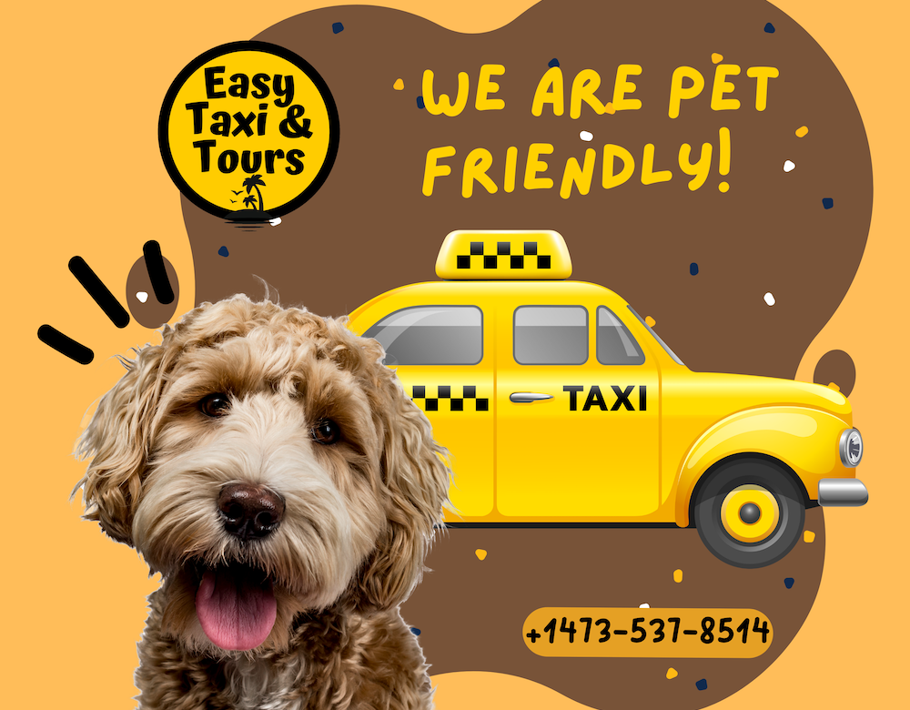 We are Pet Friendly with picture of a taxi and dog